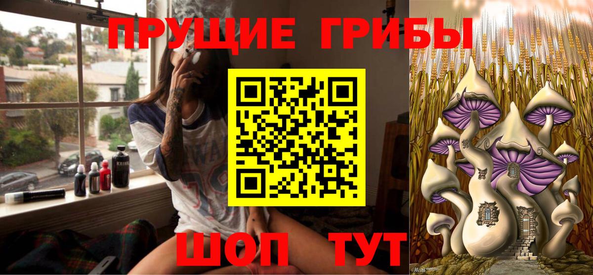Псилоцибиновые грибы Cubensis Углич