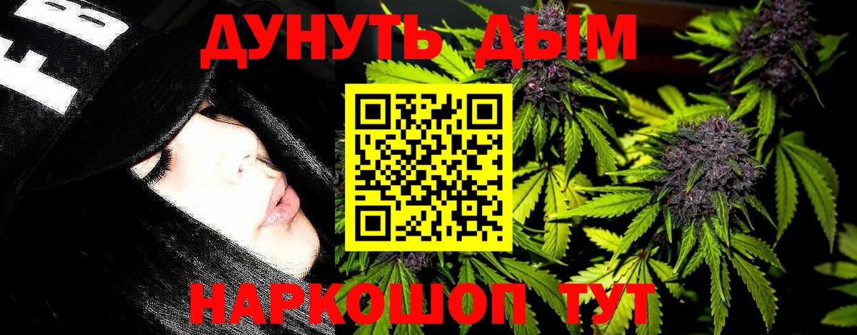 Конопля сатива Углич